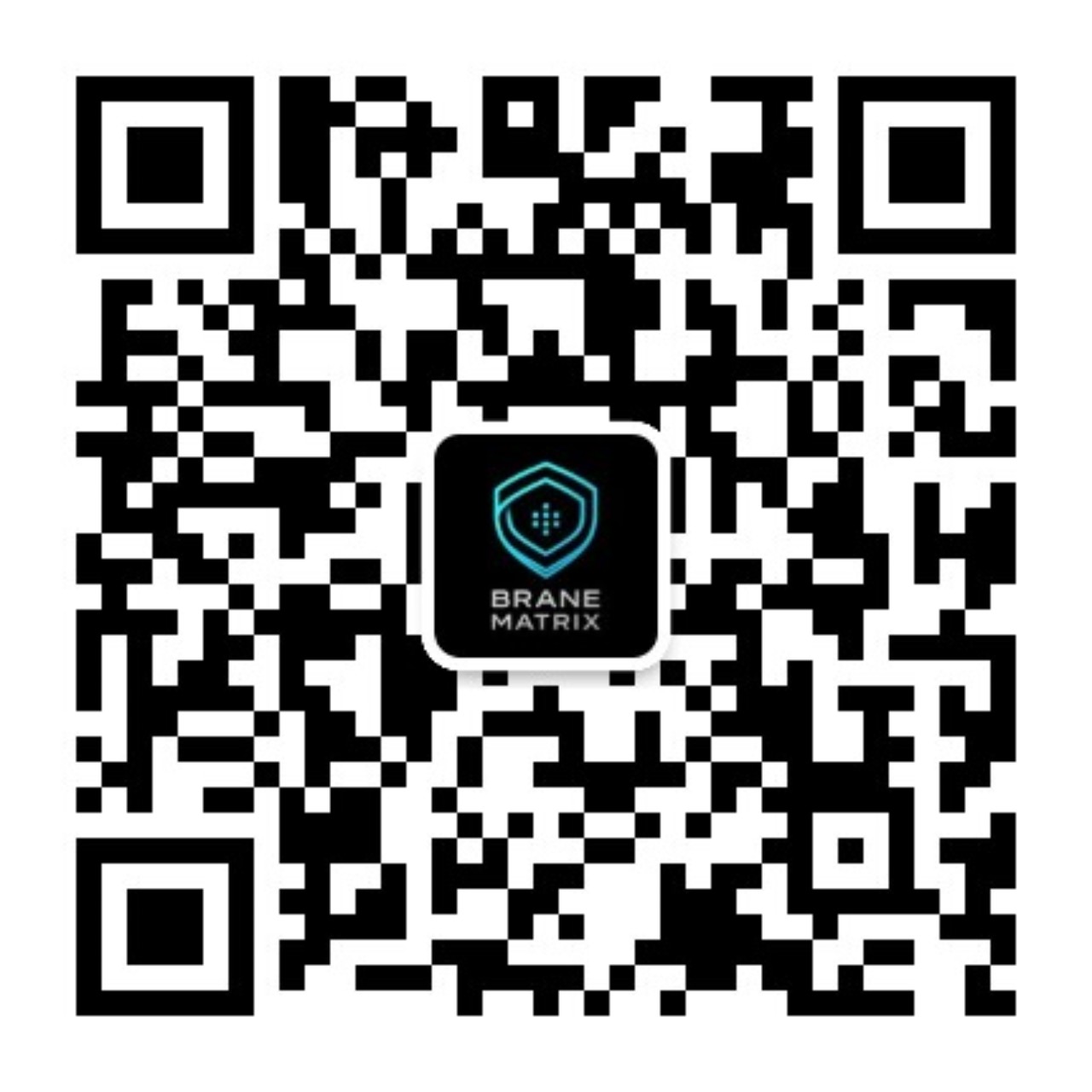 BraneMatrix 微信公众号二维码